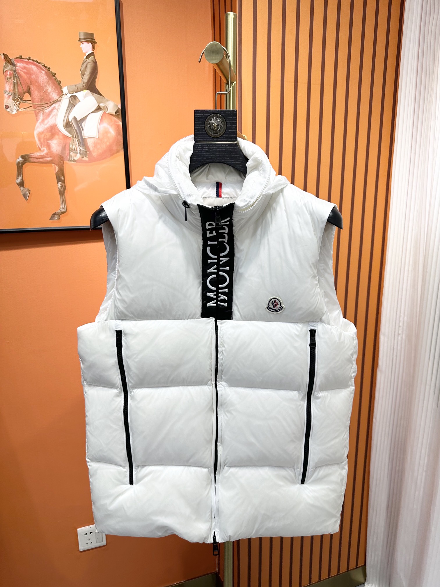 Moncler Down Jackets